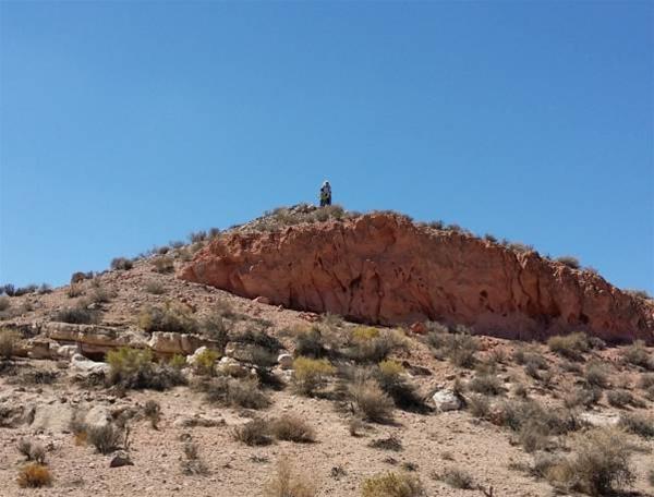 Image 13