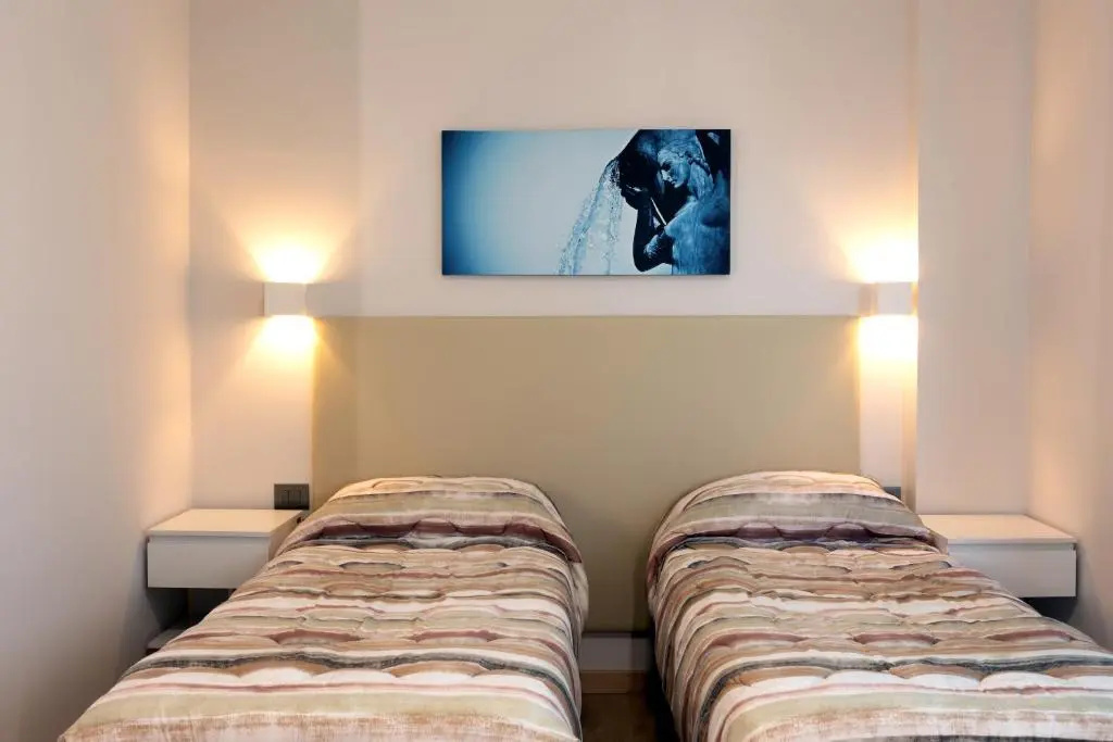 Standard Double room (twin beds)