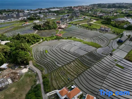 Cantik Maria - New 3 BDR Villa+Ricefield Views+Beach Access