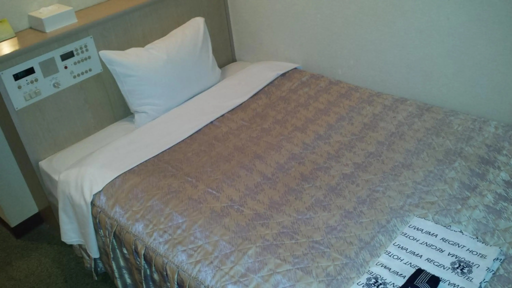 Uwajima Regent Hotel - Général