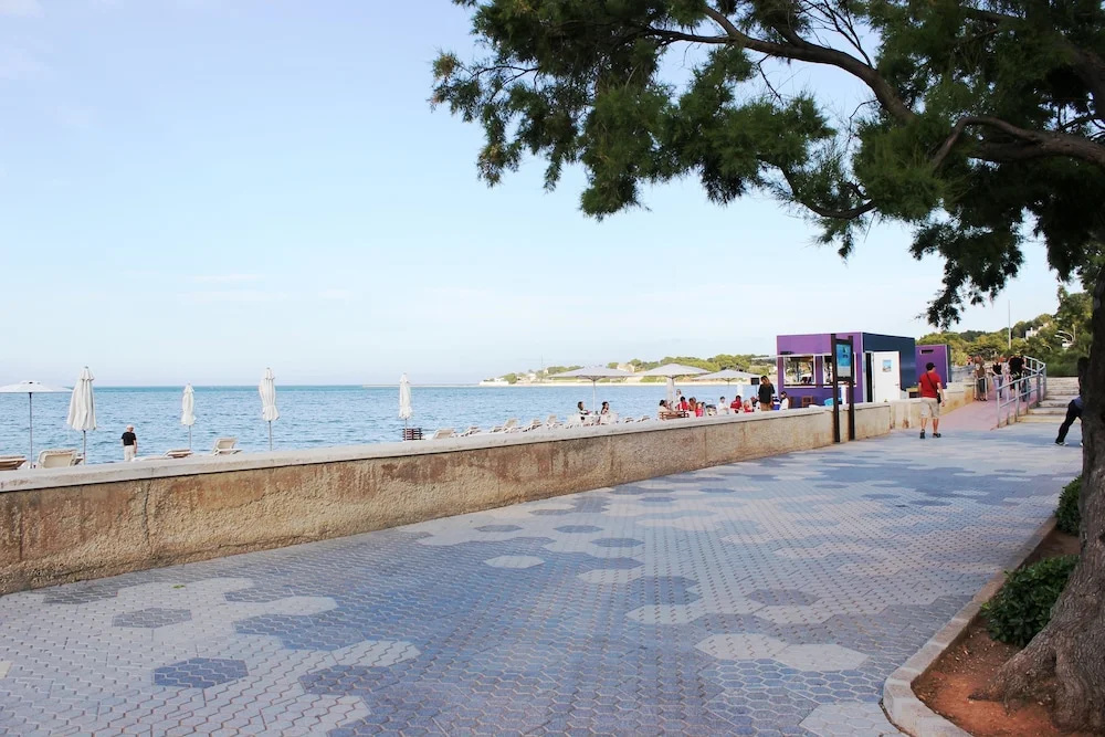 Beach & Waterfront