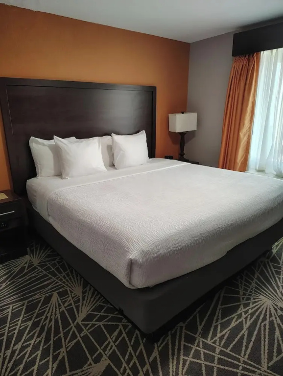 1 Bedroom Suite