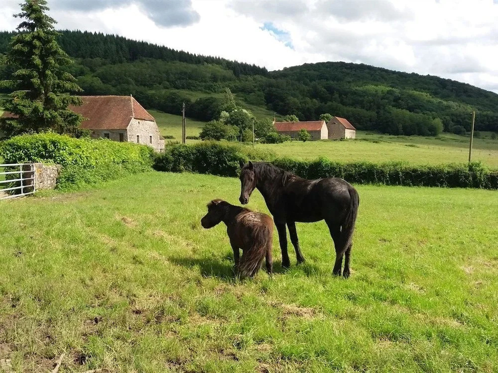 Gites des Aubues