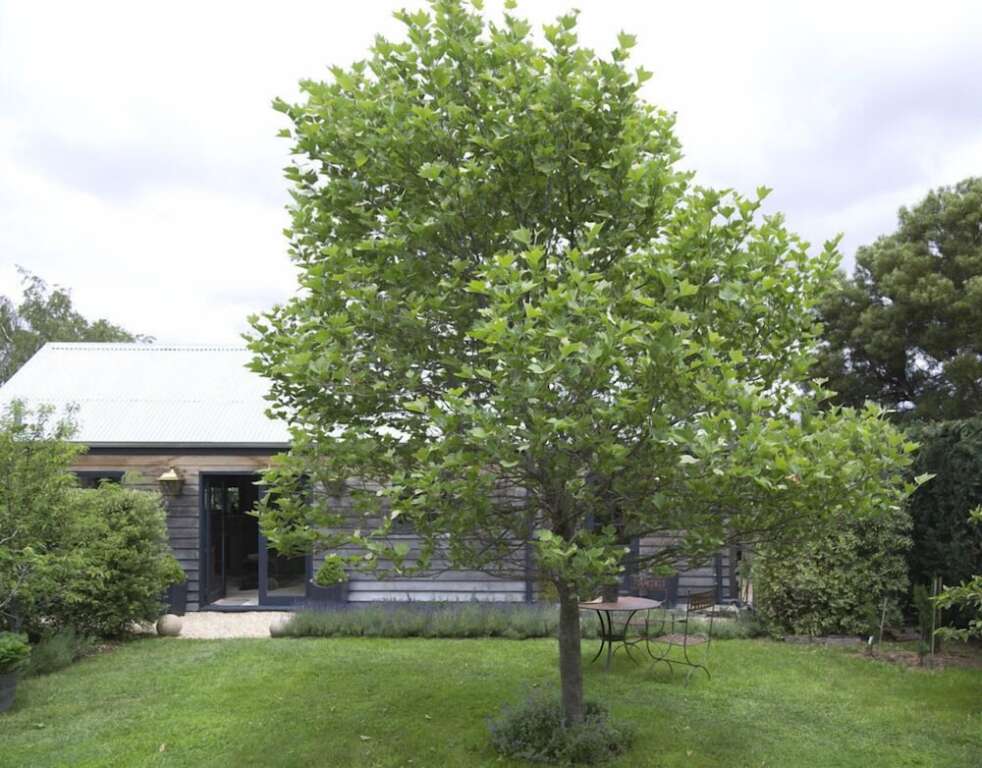 Image 14