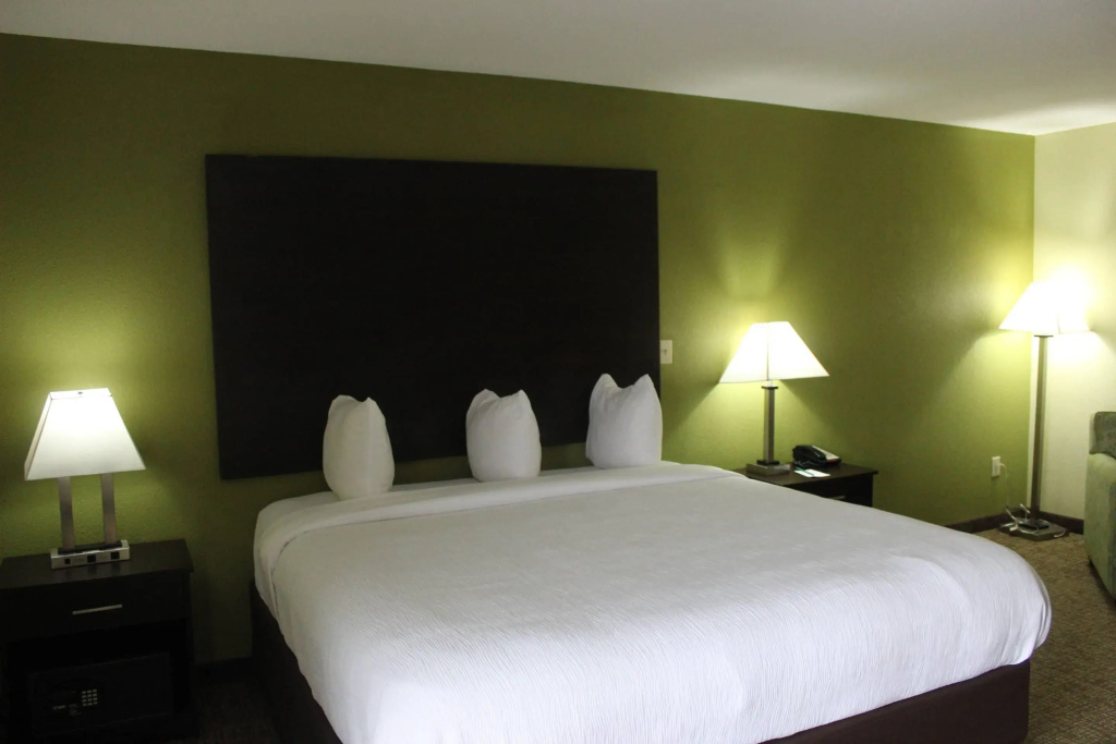 Standard Double room (full double bed)