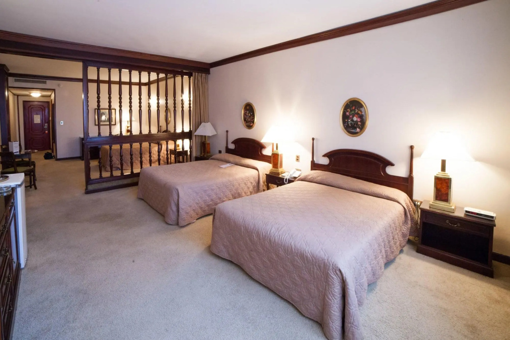 Nobile Suites Excelsior Asuncion - Général