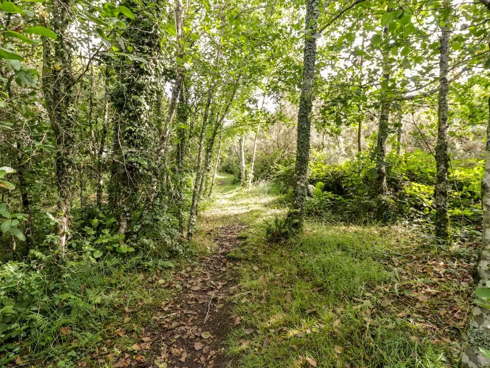 2 Merlin Lodge