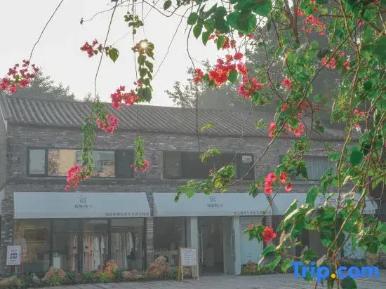 Zhuo Jian Yuan Zi