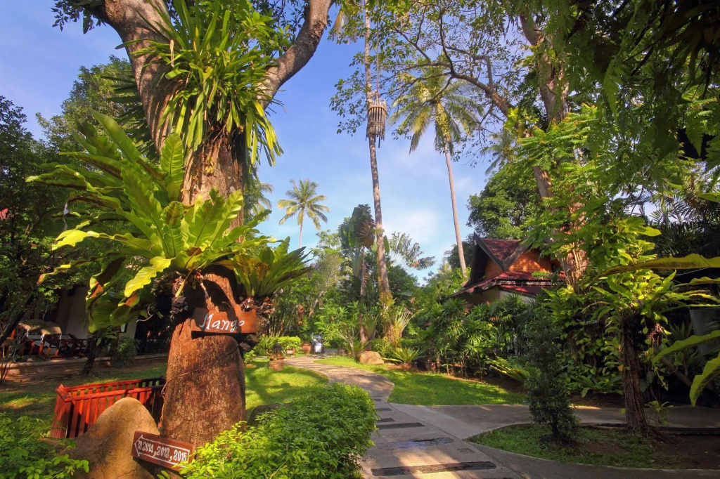 Sunrise Tropical Resort - Général