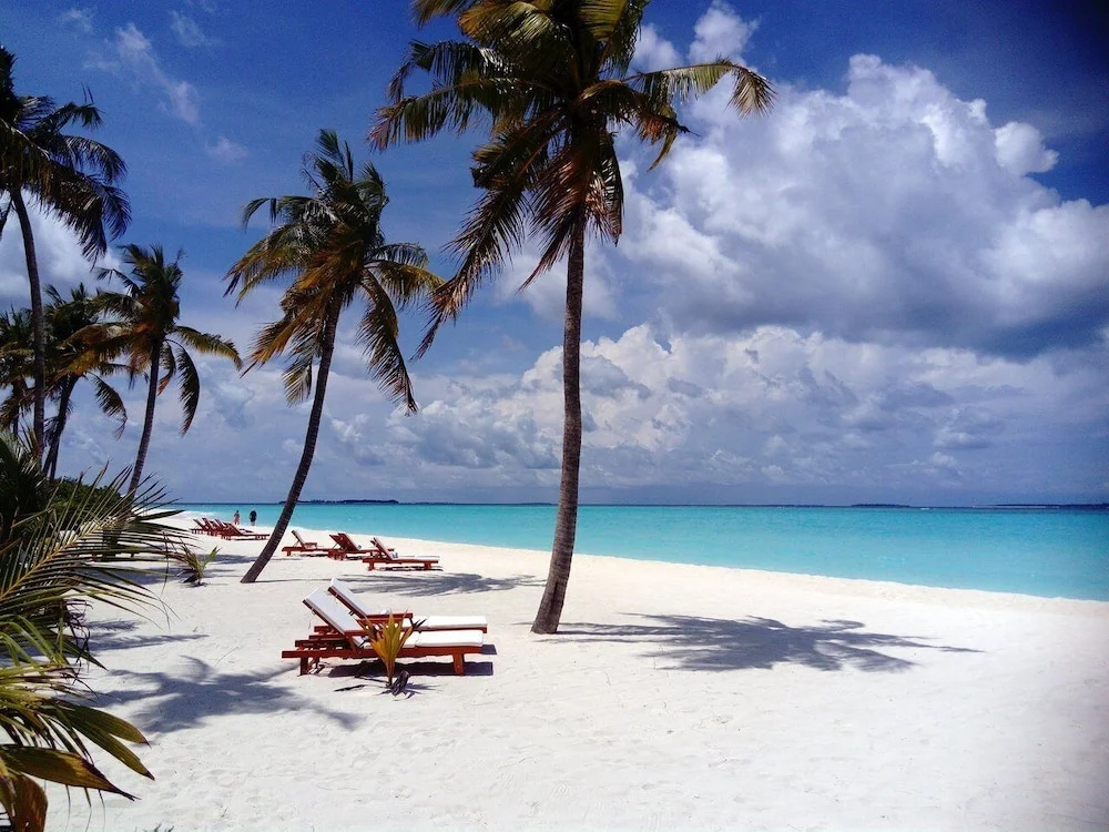 Beach & Waterfront