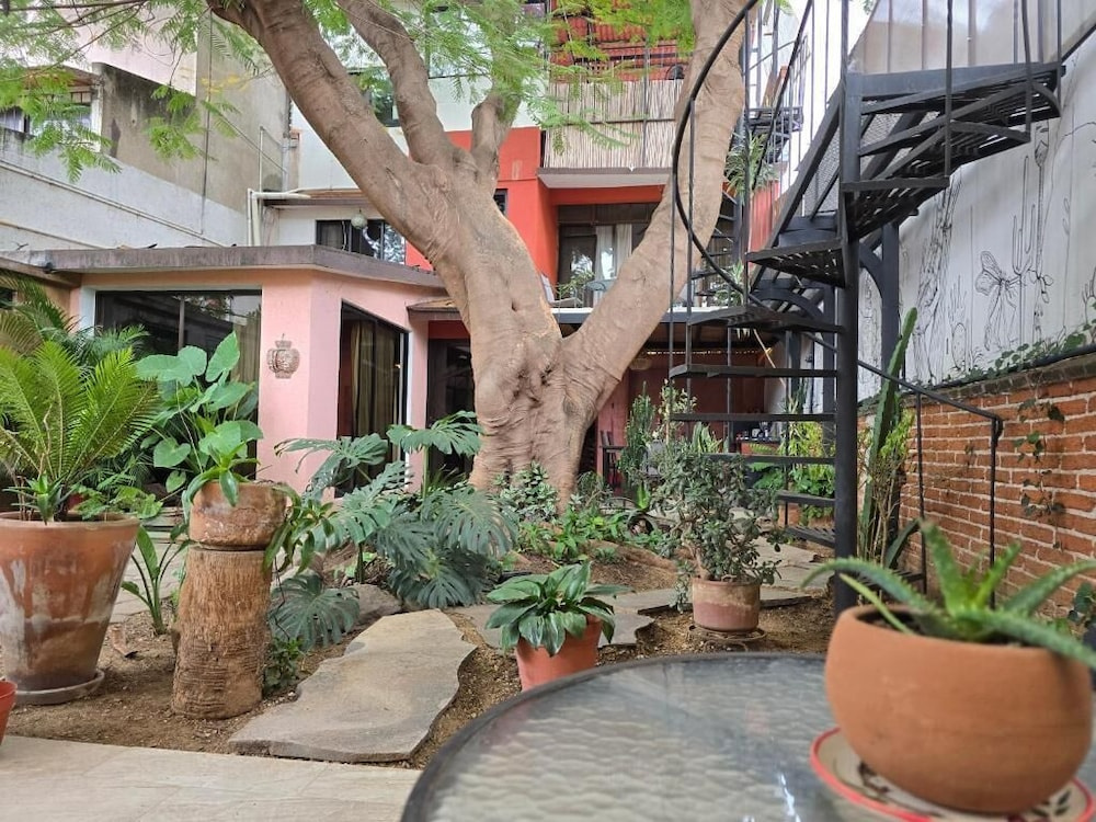 Casa del Árbol Hostel Xochimilco