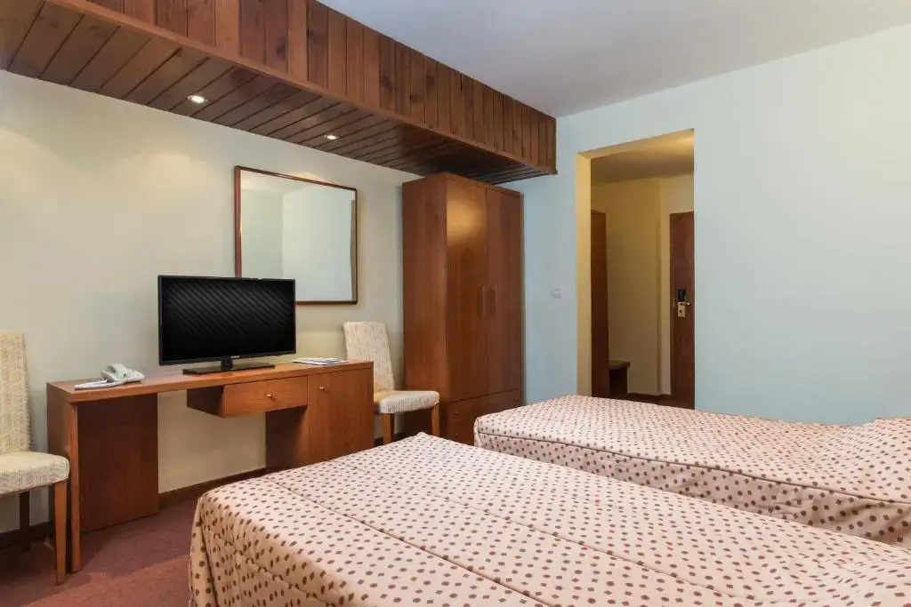 Standard Double room with city view (full double bed)