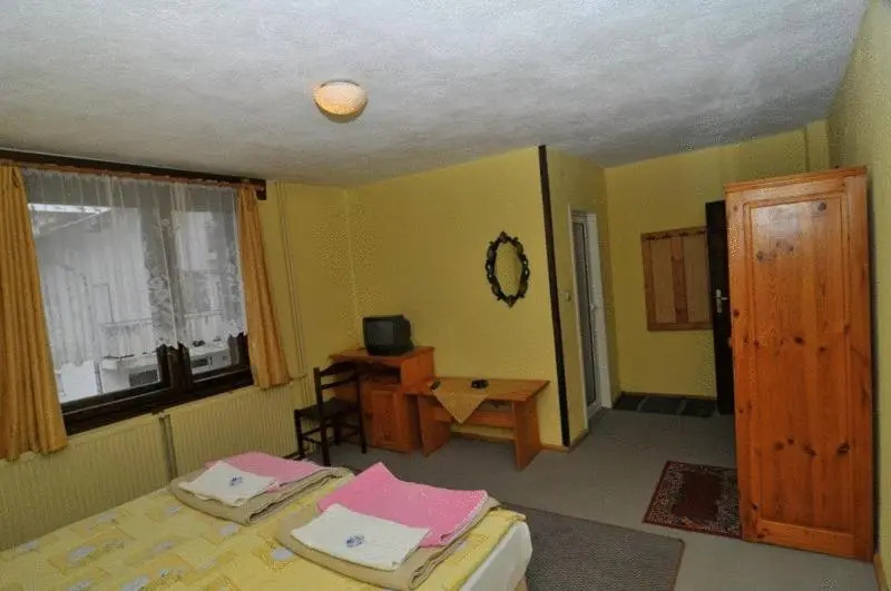 Family Hotel Santo Bansko - Chambres