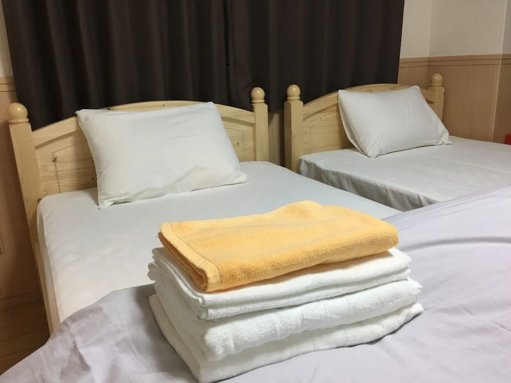 Economy Double room (twin beds)