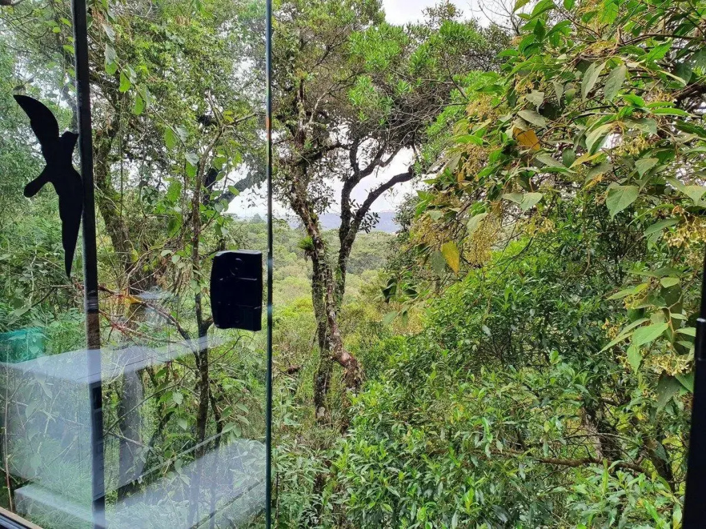 Chalé Coruja Listrada Ninho Das Aves