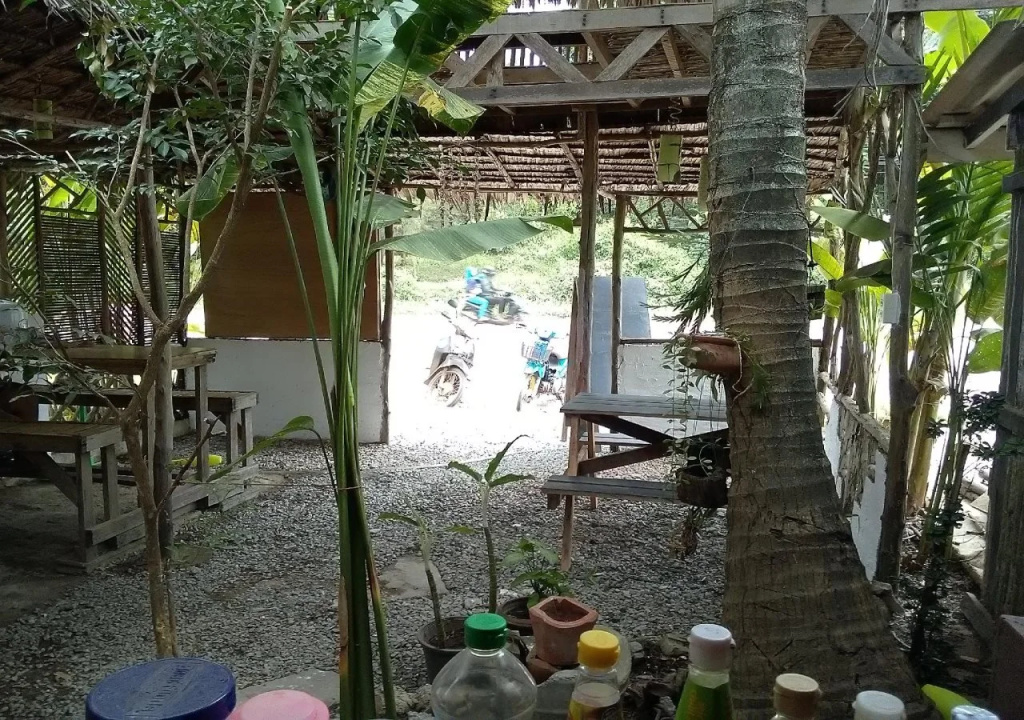 Hostaria 239 Budget Bed And Breakfast