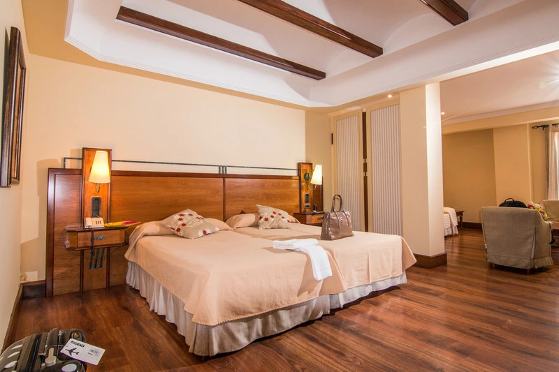 Hotel Abades Guadix - Chambres