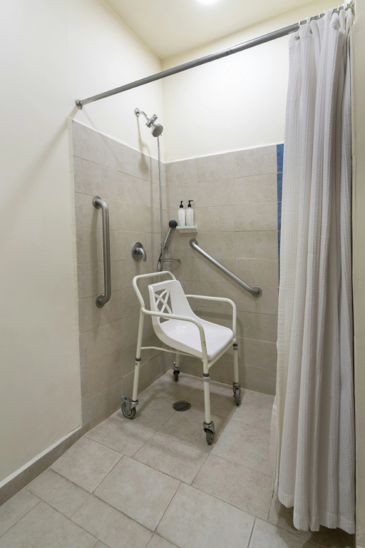 Hampton Inn by Hilton San Juan del Rio - Général
