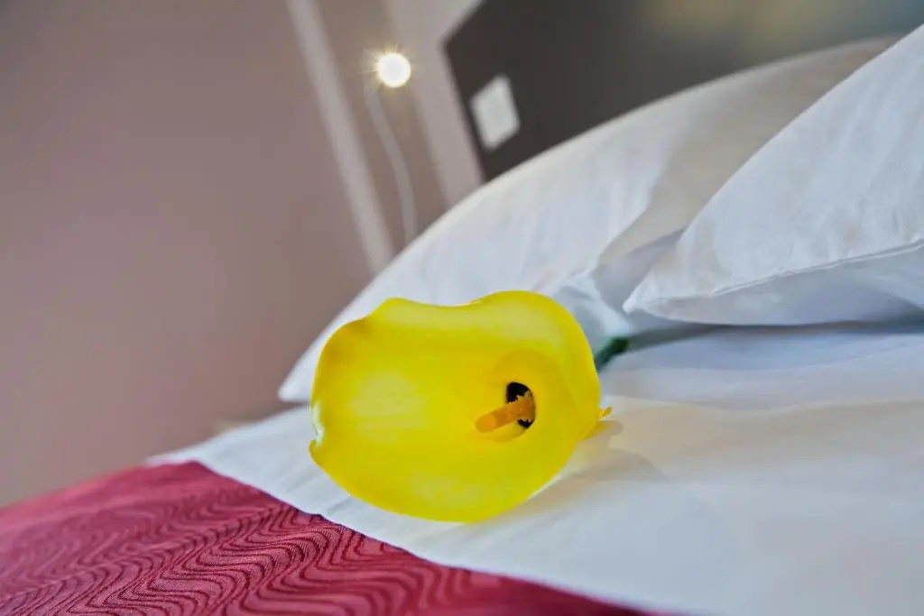 Il Fiore in una Stanza - Chambres