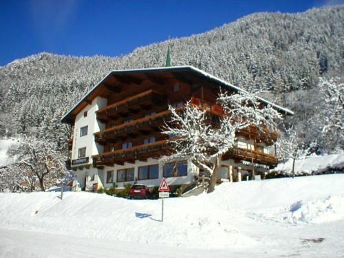 Image 5