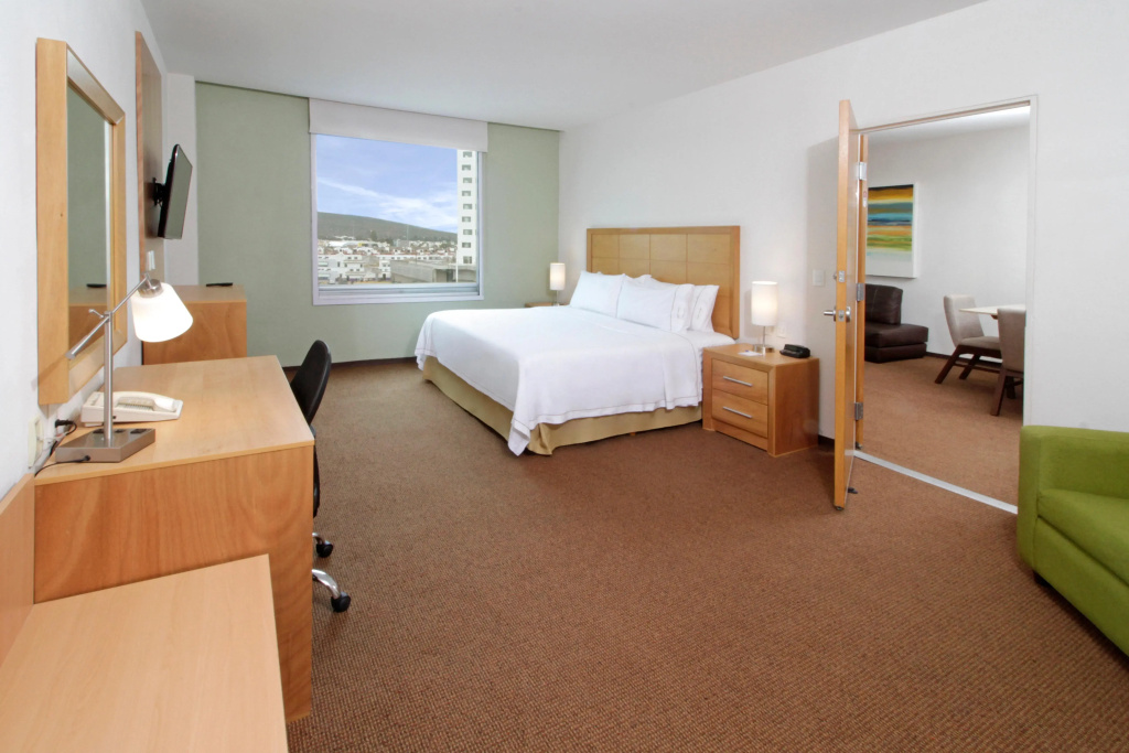 Holiday Inn Express & Suites Irapuato - Général