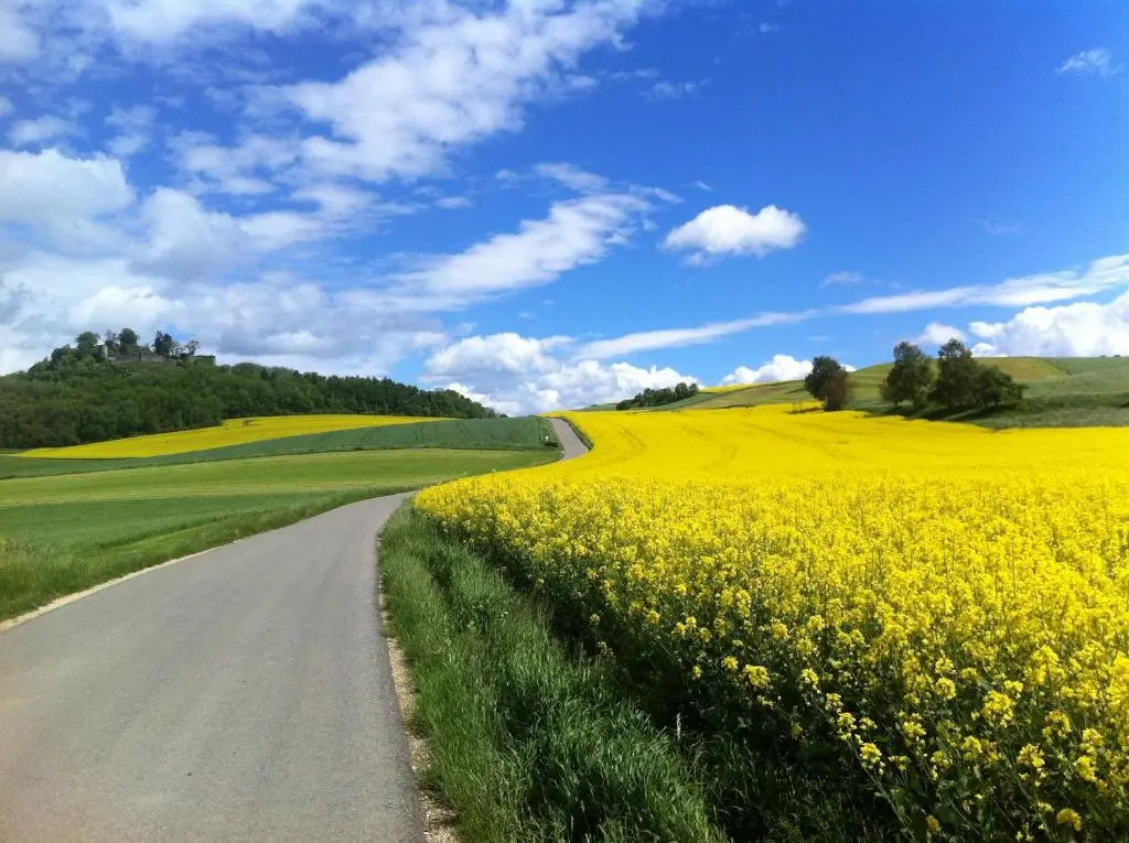 Velohotel Hirschen - Chambres