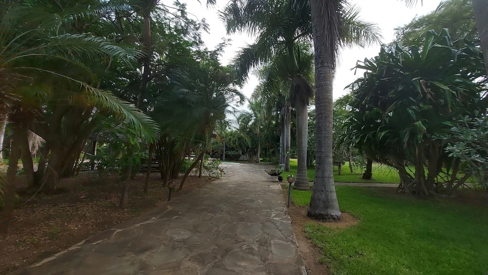Hotel photo 28