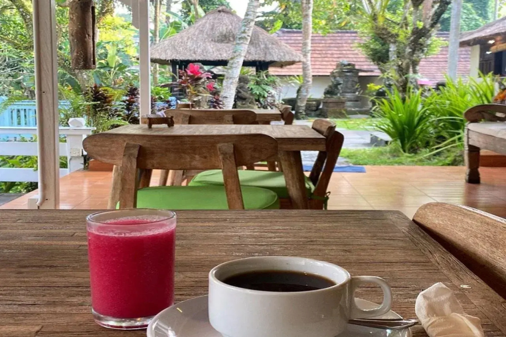 Ubud Sari Health Resort - Général