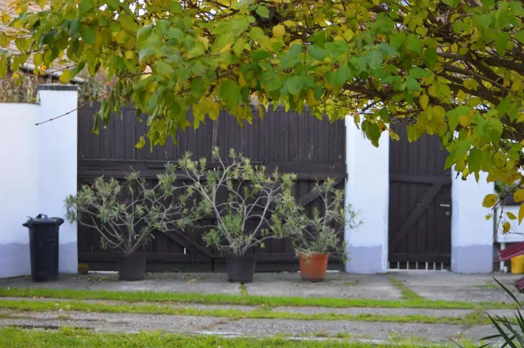 Valentin ház - фото 11