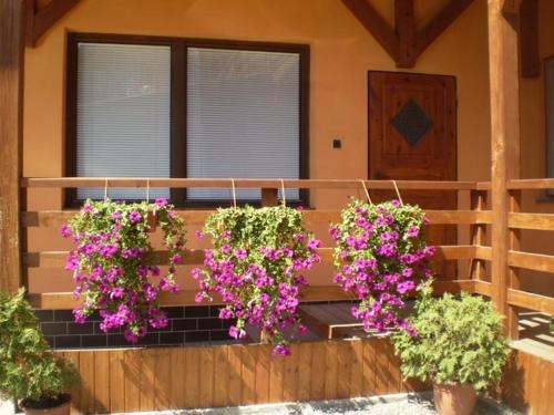 Balcony & Terrace