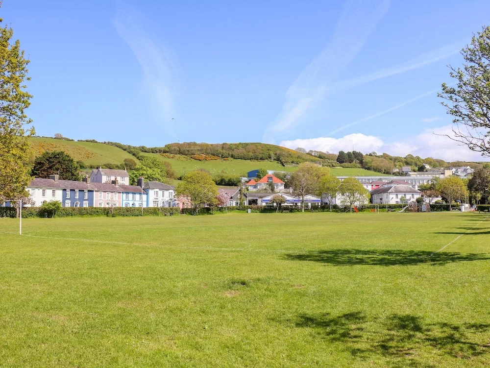 Tyglyn Vale Meadow