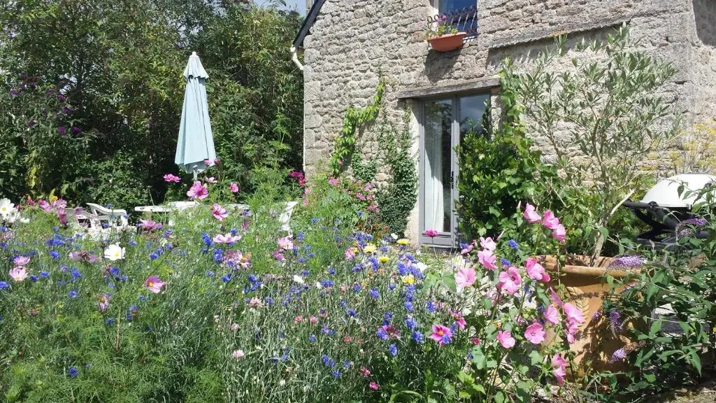 Voir la photo 3 — Les Papillons