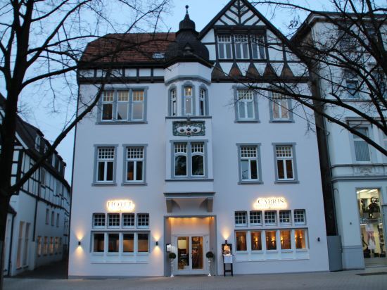 Hotel Drei Kronen image