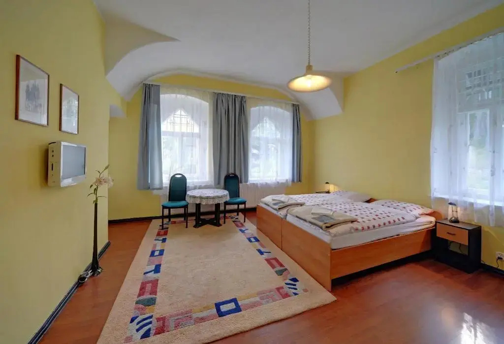 Standard Double room (full double bed)