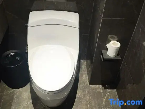 Vienna Hotel photo 4