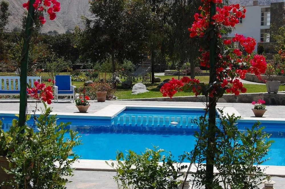 Hotel Los Palomos - фото 8