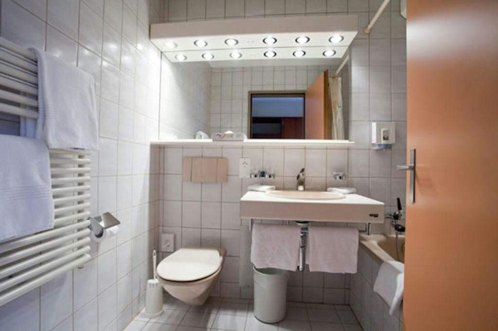 Seehotel Bonigen - Général