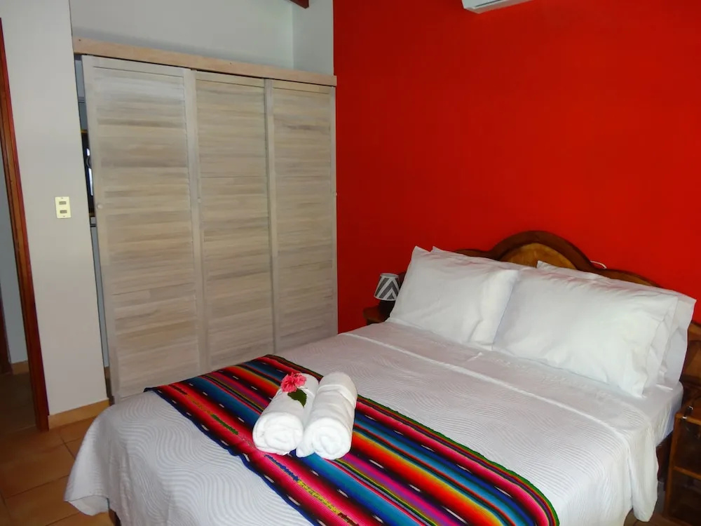 Hotel El Pequeño Gecko Verde - Général
