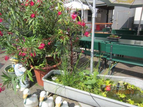 Image 14