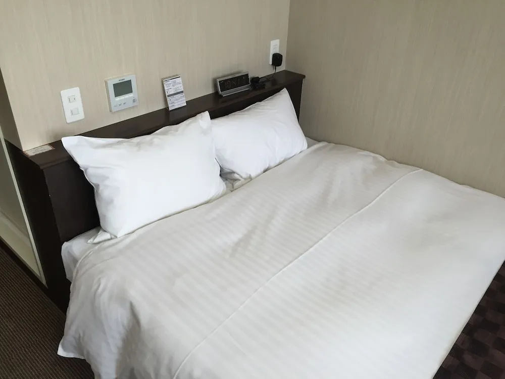 Okawa Riverside Hotel - Chambres