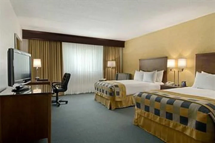 Hilton Cincinnati Airport - Chambres