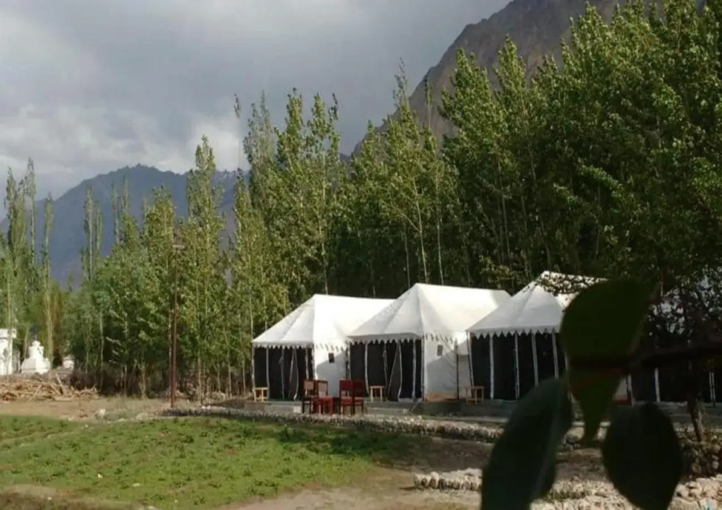 Terrain Ladakh Camping Nubra