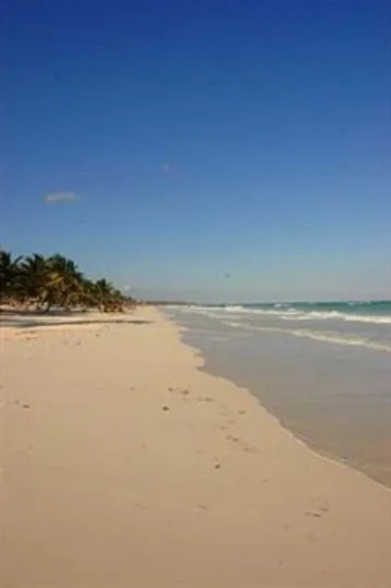 Beach & Waterfront