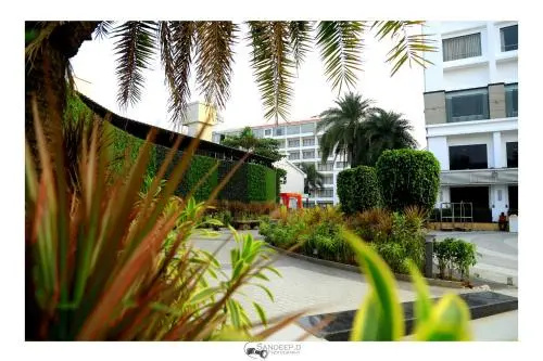 Balcony & Terrace