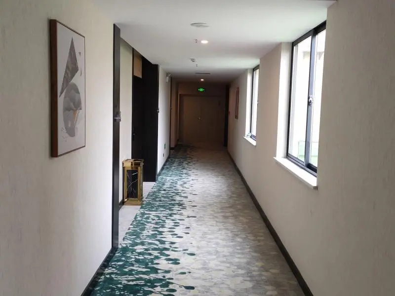 GreenTree Inn Express Lu'an Huoqiu County Antianhuafu - Général