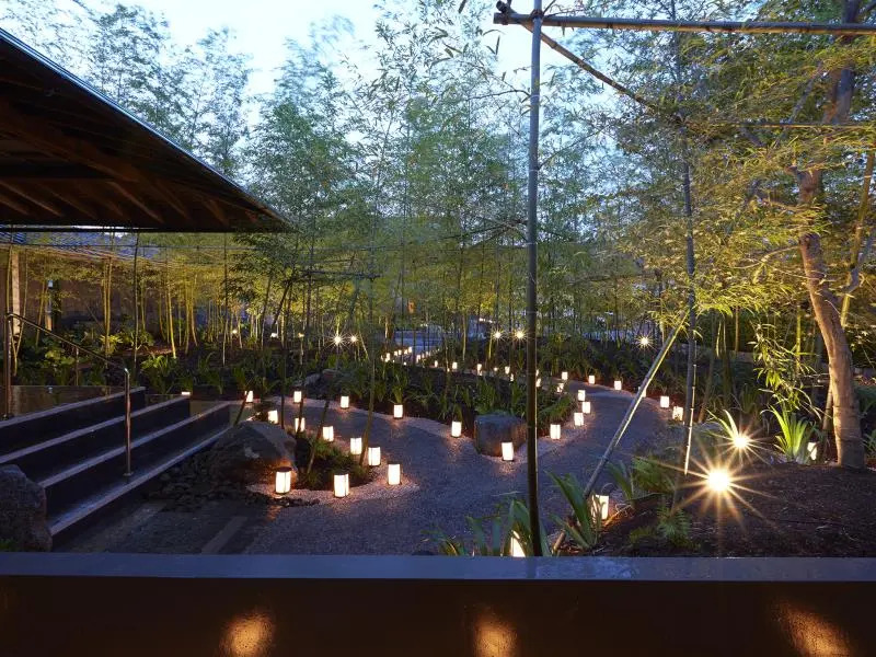 Premium Single Suite