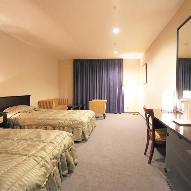 Standard Double room (twin beds)