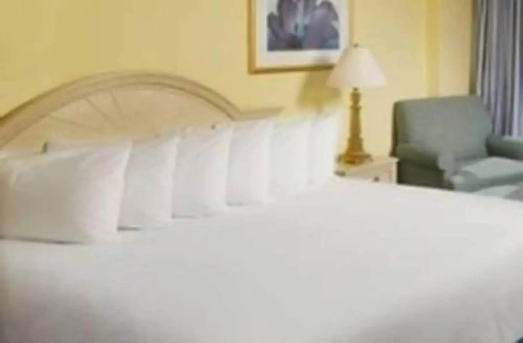 Miami Beach Resort - Général