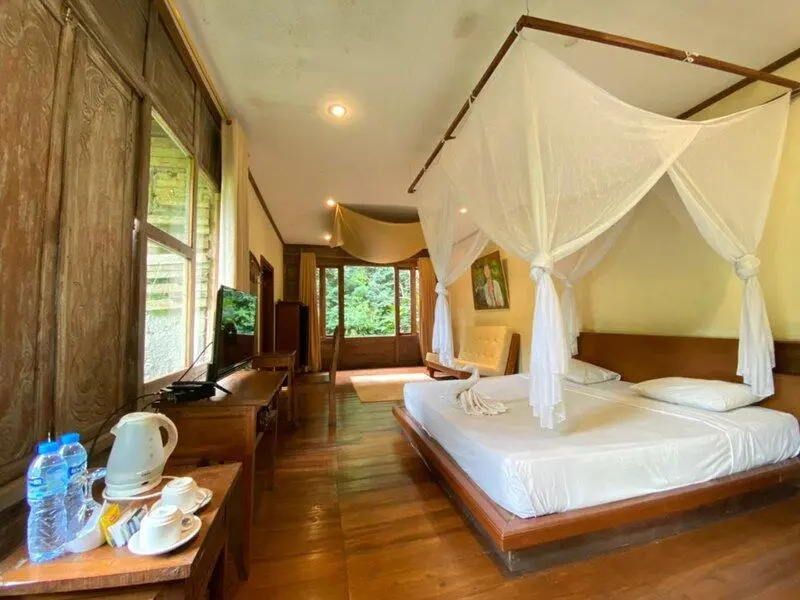 Suite with garden view
