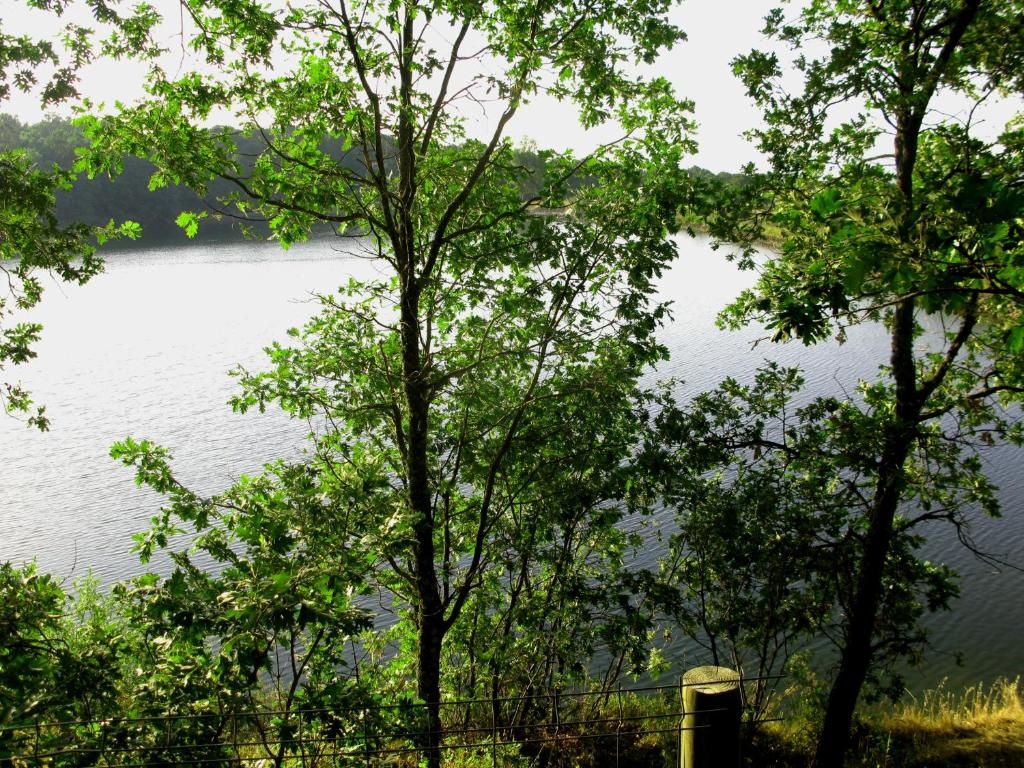 La Buenaventura del Tiétar